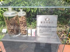 -广州神农草堂中医药博物馆