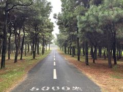 -东海森林温泉度假酒店