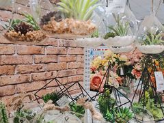 -NITORI 宜得利家居(金银潭永旺梦乐城店)
