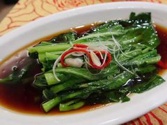 -钦善斋(武侯祠店)