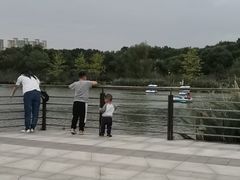 -昆山城市生态森林公园