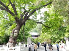 -潭柘寺景区
