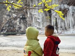 -少华山国家森林公园