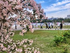 -莲花池公园