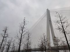 -武昌江滩