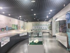-中国第四纪冰川遗迹陈列馆