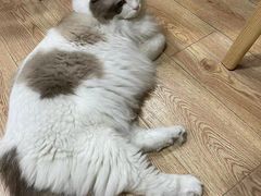 -白兔子密室(长寿路店)