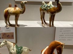 -深圳博物馆(古代艺术馆)