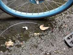 -老赵面店(大西路店)