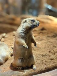 -Zoolung Zoolung动物主题公园(海信广场店)