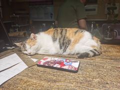 -天一朴素(武汉大学店)