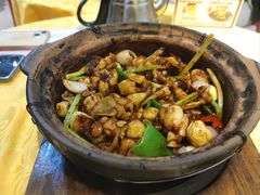 -天宝食坊·啫啫煲大排档(西华路店)