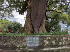 -叶挺将军纪念园