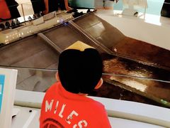 -白鹤梁水下博物馆