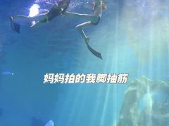 -哈尔滨波塞冬海底世界