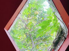 -深圳大旅小舍精品艺术民宿