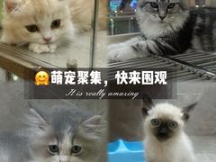-万达广场(松江店)