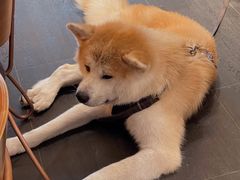 -BOCATA 西班牙餐厅(三里屯店)