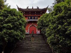 -铁山坪森林公园