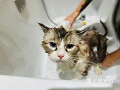-FAELING PETS美天灵宠物(合生汇店)