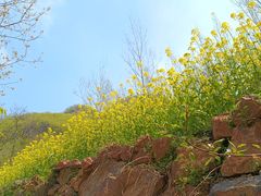 -伏羲山旅游区