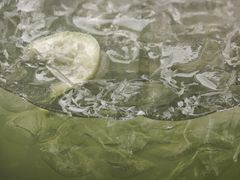 -introlemons(北京西单更新场店)