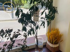 -雀食面包店(钟楼店)