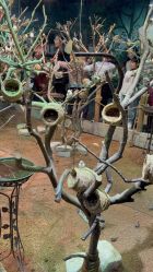 -Zoolung Zoolung动物主题公园(海信广场店)