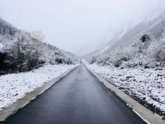 -米堆冰川