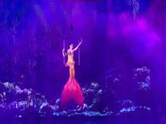 -芜湖新华联大白鲸海洋公园