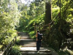 -东天目山风景区