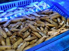-鸽子侯·家宴·平价海鲜(市图书馆店)
