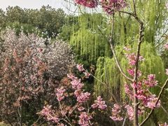 -梁鸿国家湿地公园