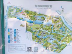 -红梅公园