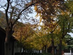 景点-焦山风景区