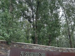 -东郊湿地公园