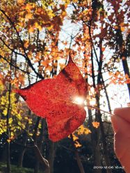 -中国科学院昆明植物研究所植物医生研发中心产品体验馆