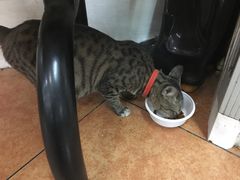 -合味道娟姨美食(堑头店)