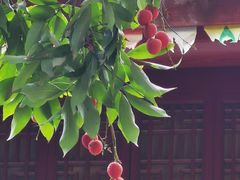 -福州开元寺