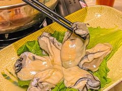 海陵岛生蚝-小煵记·打边炉(西丽文光店)