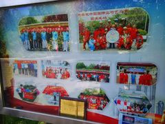 -丰台花园