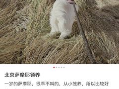 -美联众合爱康动物医院•复杂内科•肿瘤科•牙科•腔镜诊疗中心