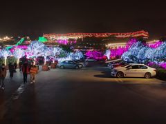 -枇杷园食为鲜火锅(南山店)