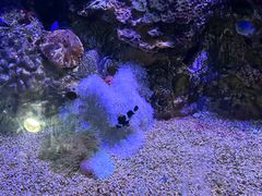 -大连老虎滩海洋公园
