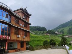 -紫鹊界梯田景区