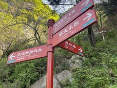-秦岭终南山世界地质公园翠华山景区
