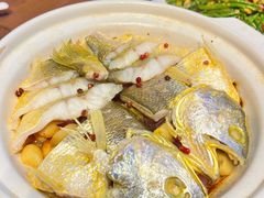 -1937青岛老味道·海肠捞饭·青岛菜(大鲍岛栈桥店)