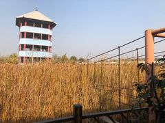 -河北村民俗体验园
