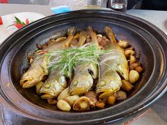 八分钟砂锅焗黄鱼-有喜胶东小馆(太申祥和店)