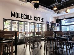 -MOLECULECOFFEE.MANDO 莫勒喝咖啡